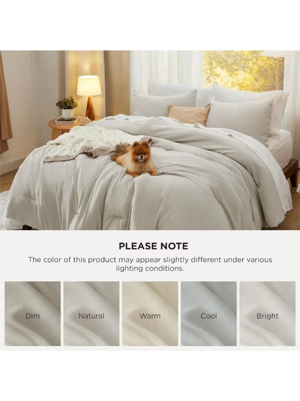 Cozy Beige Queen Comforter Set - Soft Prewashed Bedding, 3-Piece All-Season Bed